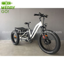 48V 500W Lithium Battery Fat Tire 24inch Cargo Electric Tricycle